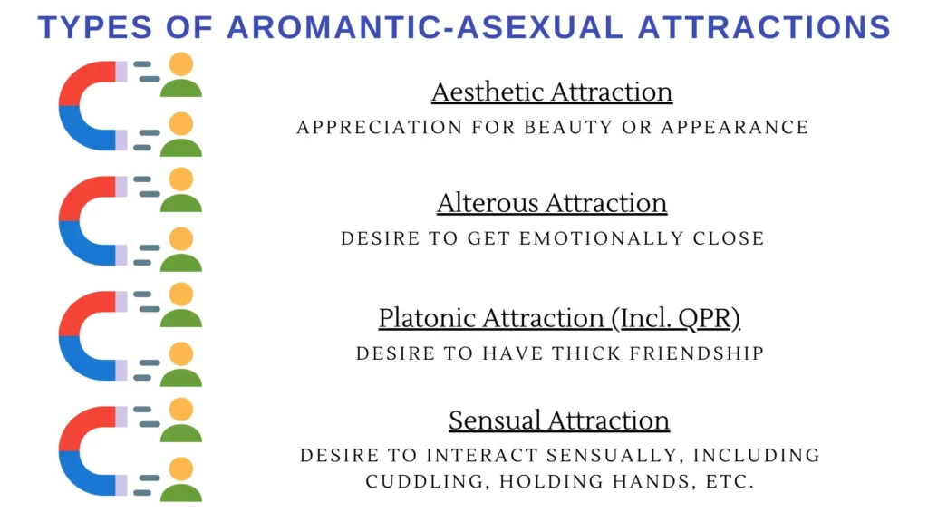 Types of AroAce Attractions