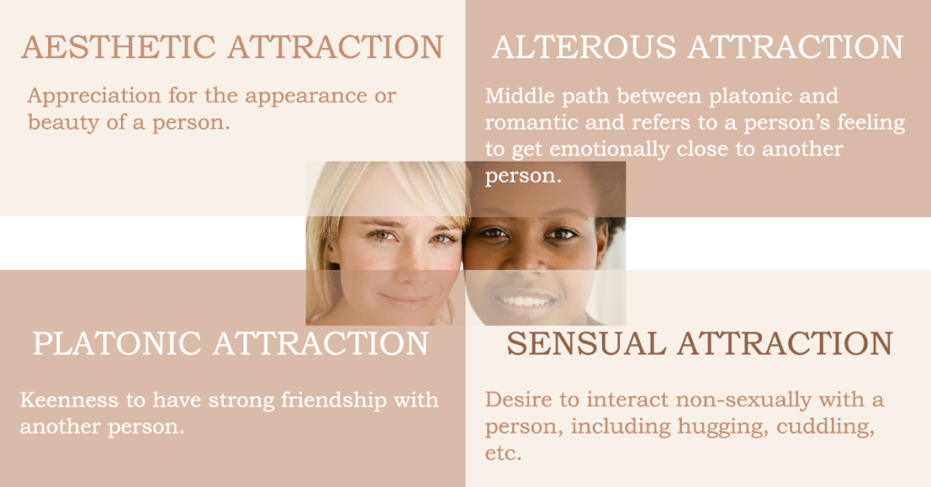 Tertiary Attraction Types