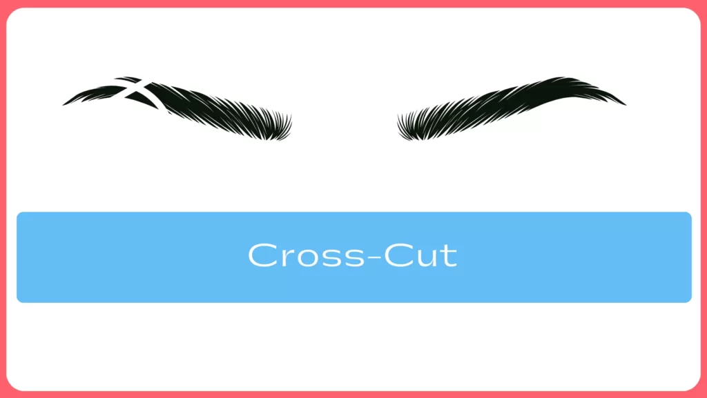 Cross Cut