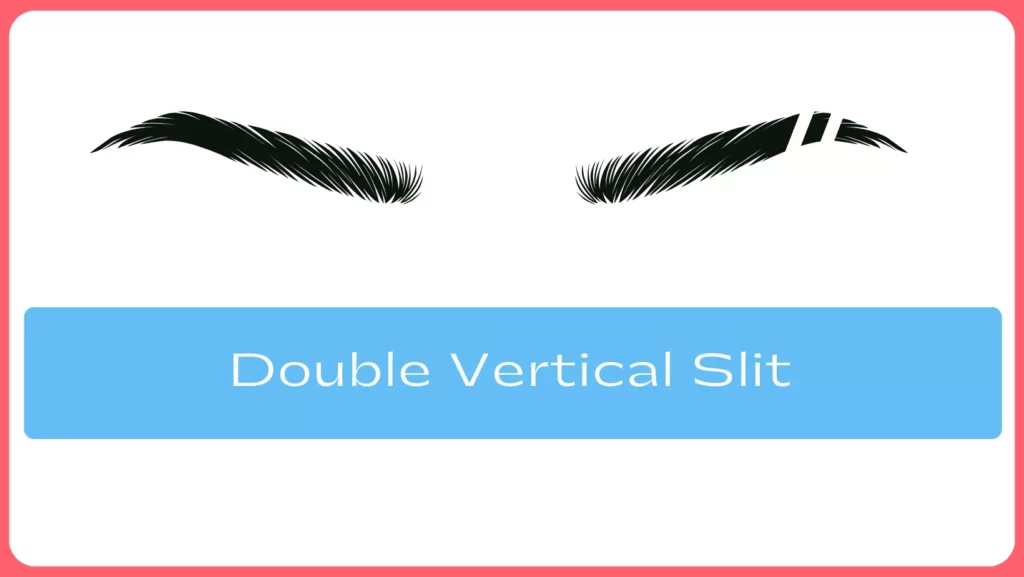 Double Vertical Slit