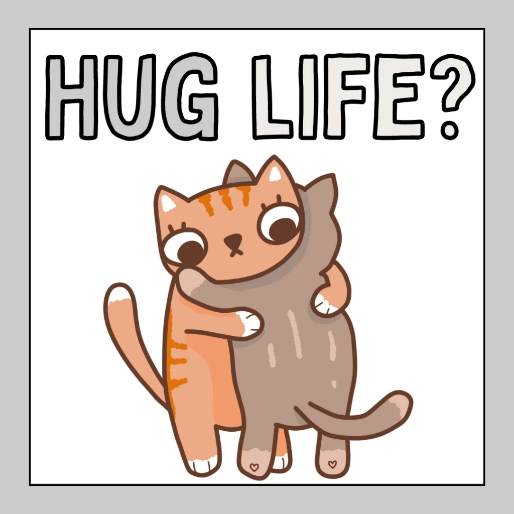 Confused Cat Hugging